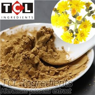 Extract de Hieracium Pilosella